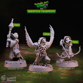 Birdfolk Champions